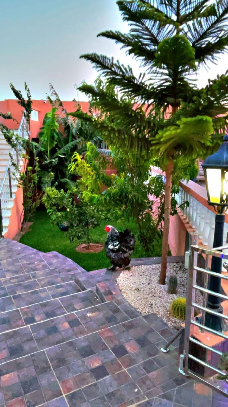 Riad Dar Salam Agadir Exterior photo